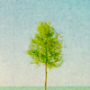 Iluvia.'s Avatar