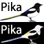 Pikapika's Avatar