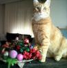 Glnur Yetkin's Avatar