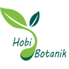 HobiBotanik's Avatar