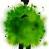 alessa's Avatar