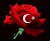 levent22's Avatar
