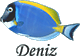 sismand's Avatar