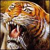 btvp2005's Avatar